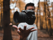 15 Sites with Copyright and Royalty Free Images 15 Sites with Copyright and Royalty Free Images