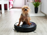 7 Best Robot Vacuums For Pet Hair In 2022 7 Best Robot Vacuums For Pet Hair In 2022