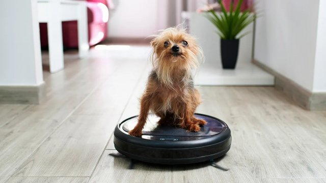 7 Best Robot Vacuums For Pet Hair In 2022