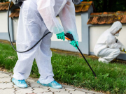 What Is The Cost Of Pest Control In 2022? What Is The Cost Of Pest Control In 2022?