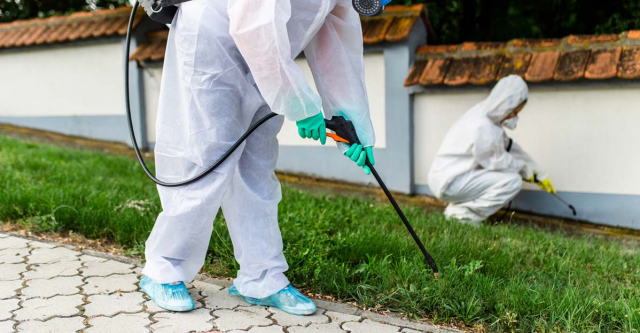 What Is The Cost Of Pest Control In 2022?